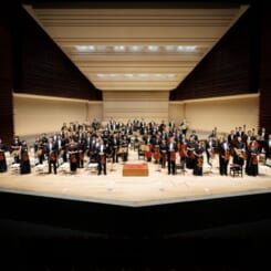 サラダ音楽祭 画像